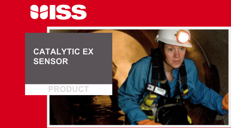 Catalytic Ex sensor