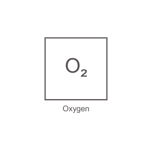Honeywell BW Technologies Portables Honeywell BW MicroClip Series Honeywell GasAlertMicroClip X3 1-Gas Detector  O2 - Black (Europe/UK/North America)